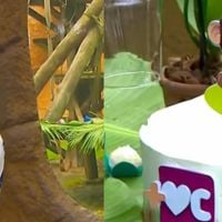 'É menino!': ao vivo no 'Mais Você', Ana Maria Braga faz um inesperado chá-revelação de macaco chimpanzé; veja as melhores reações da web: 'Só no Brasil'