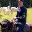 Criação de Mangalarga Marchador e gado Nelore em meio à natureza: aos 62 anos, Maurício Mattar leva o espírito de peão de ‘Roque Santeiro’ para a vida real em haras de MG