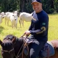 Criação de Mangalarga Marchador e gado Nelore em meio à natureza: aos 62 anos, Maurício Mattar leva o espírito de peão de ‘Roque Santeiro’ para a vida real em haras de MG