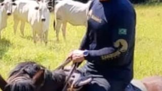 Criação de Mangalarga Marchador e gado Nelore em meio à natureza: aos 62 anos, Maurício Mattar leva o espírito de peão de ‘Roque Santeiro’ para a vida real em haras de MG