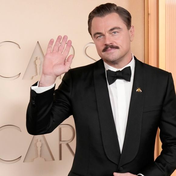 A ilha de Leonardo DiCaprio em Belize deveria receber um complexo de luxo com proposta de restauração ambiental e uso de energias renováveis