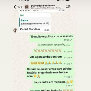 Em mensagens no grupo 'Diário dos Sobrinhos', Juliette celebra as possibilidades de ingresso dos jovens em diferentes cursos universitários