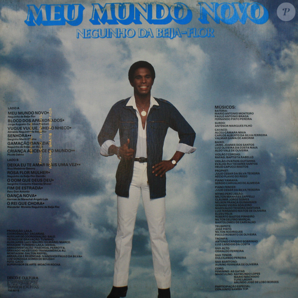 Neguinho da Beija-Flor lançou pelo menos 28 projetos musicais, incluindo discos e DVD's