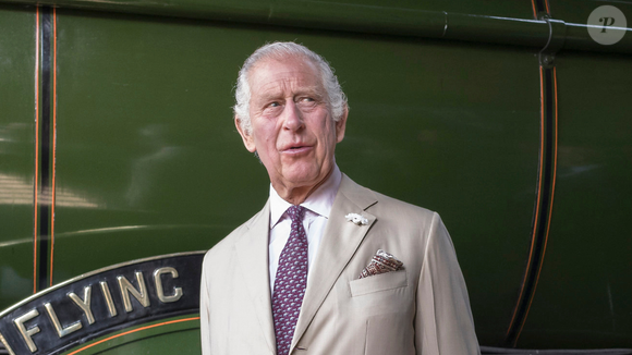 De acordo com um porta-voz do Palácio de Buckingham, Charles III está ciente de que o luto pela perda de um irmão pode "nublar a razão, prejudicar o julgamento e distorcer a memória", em resposta às memórias de Charles Spencer