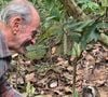 Ney Matogrosso acompanha soltura de bicho-preguiça em sua fazenda no RJ