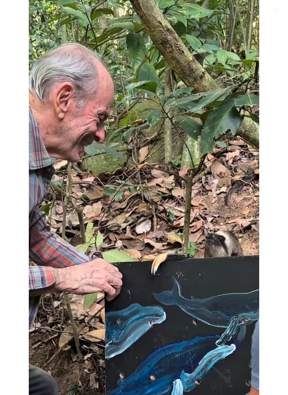 Ney Matogrosso acompanha soltura de bicho-preguiça em sua fazenda no RJ