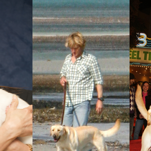 Conversar com um animal como se ele fosse gente pode indicar necessidade de estabelecer uma conexão emocional com o bicho