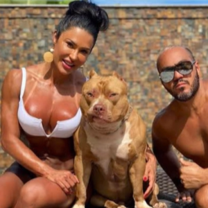 Thor era um dos cachorros pitbull de Gracyanne Barbosa e Belo: 'É MUITO TRISTE ter que fazer um post desse'