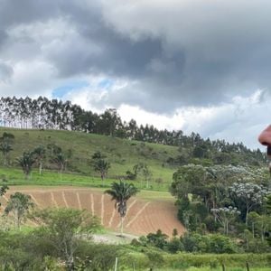 Fazenda do ator produz leite, queijos, iogurtes, mel, café, pães de fermentação natural e até chocolate, tudo artesanal