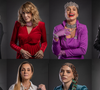 Leticia Colin como Vanessa, Flávia Alessandra como Cristina, Joana Fomm como Perpétua, Lilia Cabral como Maristela, Adriana Esteves como Carminha, Glória Pires como Raquel, Renata Sorrah como Nazaré e Susana Vieira como Branca