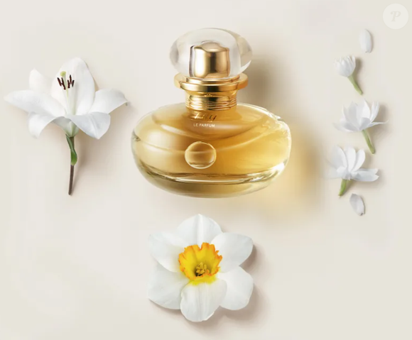 Perfume Lily Le Parfum, de O Boticário, mostra ao consumidor um mix de frutas cítricas, além da potência floral, o doce da baunilha e o amadeirado de almíscar.