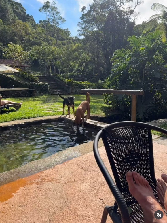 O sítio de Marcello Novaes em Teresópolis se destaca não pelo luxo, mas pelo contato direto com a natureza, silêncio e qualidade de vida longe da rotina agitada do Rio