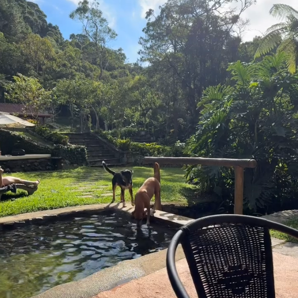 O sítio de Marcello Novaes em Teresópolis se destaca não pelo luxo, mas pelo contato direto com a natureza, silêncio e qualidade de vida longe da rotina agitada do Rio