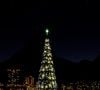 Ícone do Natal do Rio, a árvore da Lagoa voltou em 2025 repleta de luz e encanto