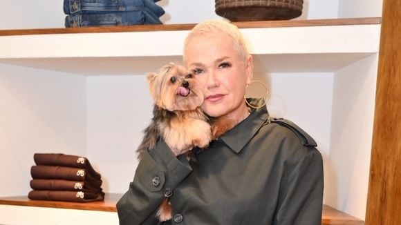 'Quase morre do coração!': Xuxa reprova atitude de fã ao defender pet, Doralice, em chegada de voo ao PR para show da turne 'O Último Voo da Nave'