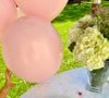 Gisele Bündchen apostou na simplicidade para comemorar seu aniversário, com apenas um bolo em formato de coração e nozes