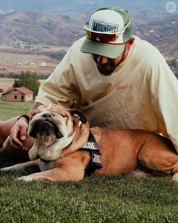Lewis Hamilton reuniu fotos com Roscoe para anunciar morte do cachorrinho