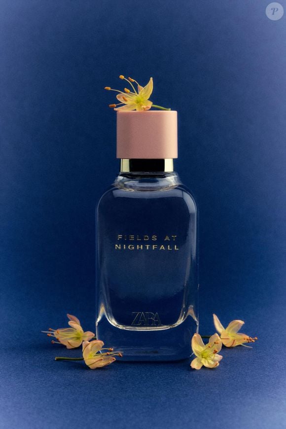 Elegante, cremoso e envolvente: o Fields at Nightfall, da Zara, conquistou uma consumidora há mais de cinco anos e virou o perfume que mais rende elogios, até mesmo da manicure