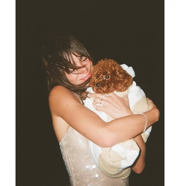 Companheira inseparável de Bruna Marquezine, Chihiro chama atenção após especialistas destacarem inteligência da raça Poodle Toy
