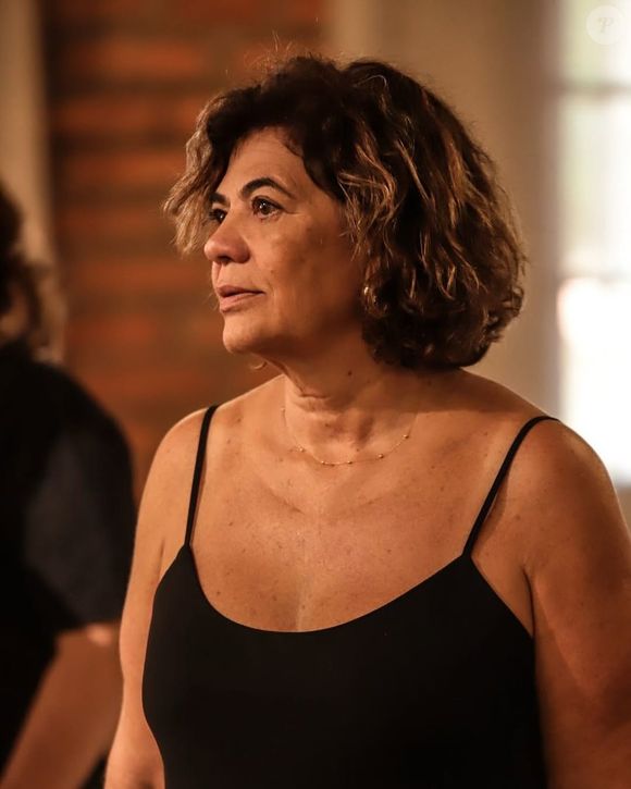 Em outra mensagem enviada ao jornalista, Virgínia reforçou o desejo de ter acesso direto às informações: 'Sempre que tiver coisas assim me manda Silvia não me passa', disse, fazendo referência à assessora Silvia Colmenero