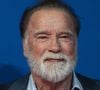 "Às vezes, o trabalho não é o problema. Às vezes, deixamos de prestar atenção ao porquê de ele ser importante", disse Arnold Schwarzenegger