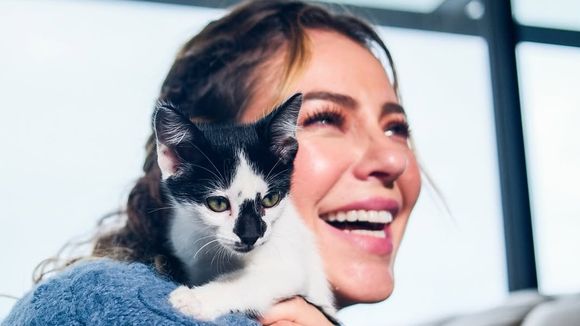 A veterinária Jane Davidson explica se os gatos realmente esquecem seus donos: 'A memória deles não se baseia apenas no vínculo emocional, mas também na sensação de segurança física'