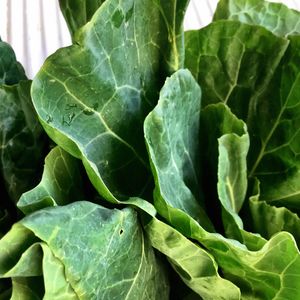 Um dos ingredientes do suco verde de Gisele Bündchen, a couve tem diversos benefícios para a saúde