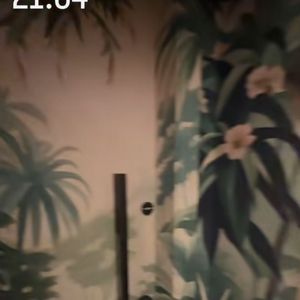 Nos vídeos publicados por Virginia, foi possível identificar um papel de parede com estampa de folhagens, similar ao de uma floresta.