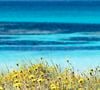 Embora a praia de Ses Illetes seja pública, seu acesso não é gratuito, já que a taxa é usada para financiar a conservação de seu espaço natural