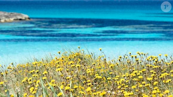 Embora a praia de Ses Illetes seja pública, seu acesso não é gratuito, já que a taxa é usada para financiar a conservação de seu espaço natural