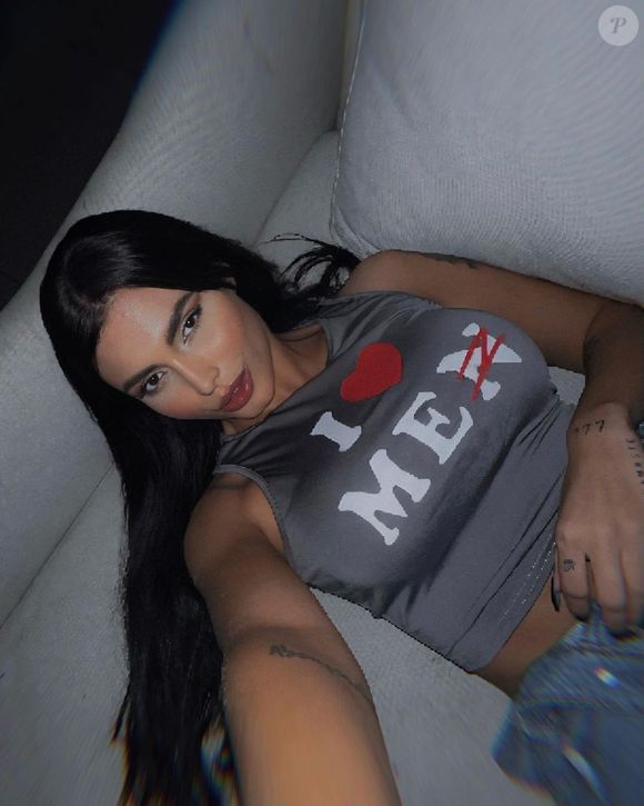 A criadora de conteúdo adulto conta que a proposta chegou por meio de uma produtora parceira interessada em ter uma brasileira polêmica e com forte engajamento nas redes sociais. A conversa inicial fluiu e a surpresa só apareceu na minuta do contrato.