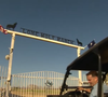 Localizado em Navasota, no Texas, o chamado Lone Wolf Ranch, em tradução literal 'Lobo Solitário', impressiona pelos números e pelos detalhes
