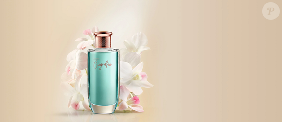 O perfume Biografia Feminino, da Natura, combina cedro, musgo de carvalho, musk, âmbar e sândalo nas notas de fundo, formando uma composição que reúne acordes amadeirados e almiscarados para completar sua identidade floral