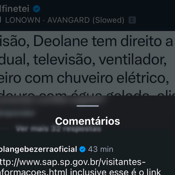 Solange Bezerra contestou rumores sobre privilégios na prisão e afirmou que objetos levados para Deolane foram barrados durante visita