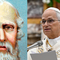 Frase do dia do Papa Leão XIV: 'Como escreve Platão, as coisas mais profundas e importantes só se aprendem depois de muito tempo e esforço'