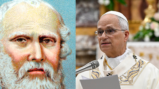 Frase do dia do Papa Leão XIV: 'Como escreve Platão, as coisas mais profundas e importantes só se aprendem depois de muito tempo e esforço'