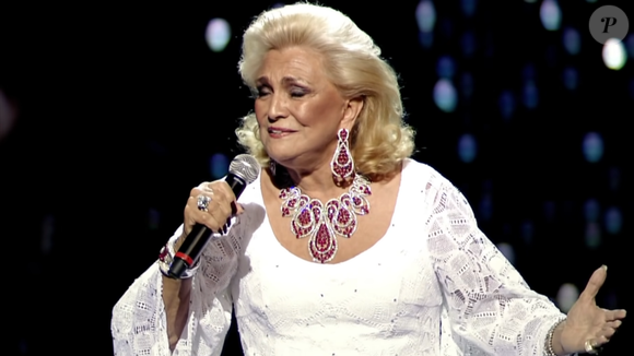 Hebe Camargo: polêmica fez vice-presidente do SBT dizer que ‘alguns profissionais estavam se excedendo e utilizando o canal para a solução de questões de ordem pessoal’