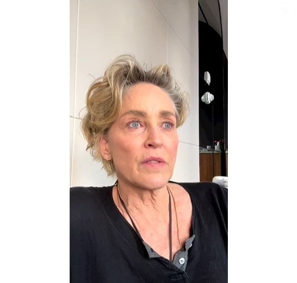 Sharon Stone tem um dos cabelos mais indicados para mulheres 50+
