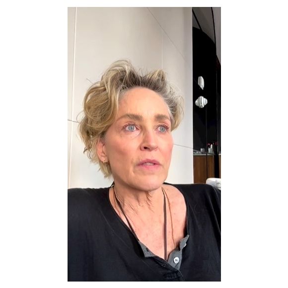 Sharon Stone tem um dos cabelos mais indicados para mulheres 50+