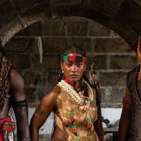 Antes e depois do elenco de 'A Nobreza do Amor': veja a transformação radical em 24 fotos dos atores em sua 1ª novela e na atualidade