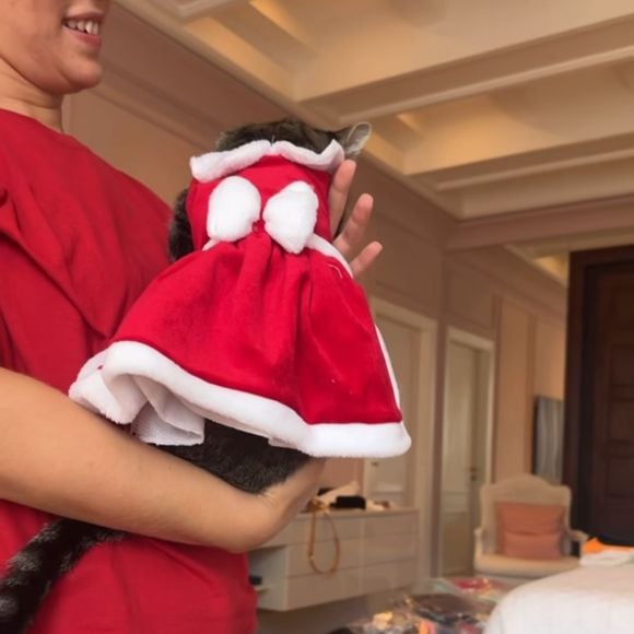 Luciana Gimenez também colocou os pets no clima natalino