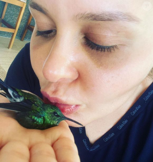 Passarinhos podem aparecer em janelas ou varandas no começo ou no final do dia