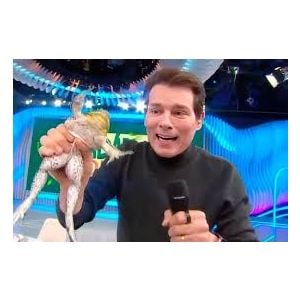 Celso Portiolli segurou um rã com força no ‘Domingo Legal’ no dia 22 de março