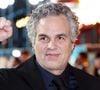 Em 2013, Mark Ruffalo co-fundou uma ONG que já direcionou uma fortuna de US$ 50 milhões em doações e microcréditos para impulsionar a energia 100% renovável em mais de 350 organizações comunitárias