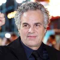 Em 2013, Mark Ruffalo, o Hulk da Marvel há 14 anos, co-fundou uma ONG que já direcionou uma fortuna de US$ 50 milhões em doações e microcréditos para impulsionar a energia 100% renovável em mais de 350 organizações comunitárias