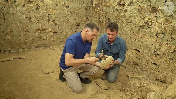 Alessandro Torres fez reportagem da Globo que acabou em gafe, fazendo a web ironizar: 'Estagiário faltou à aula de Geografia'