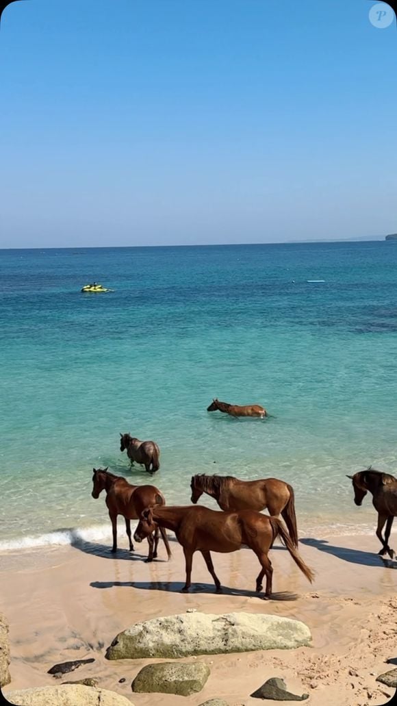 Além das praias paradisíacas, o NIHI Sumba oferece experiências equestres que conectam os hóspedes à cultura de Sumba. O resort mantém cavalos locais e promove passeios pela praia e pelo interior da ilha