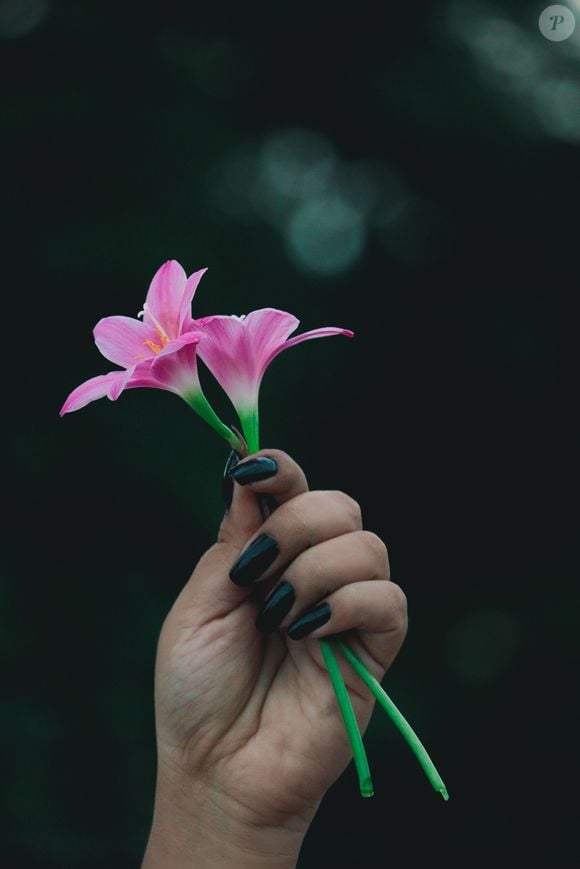 Verde intenso: O verde intenso e frio ganha destaque na primavera de 2026 e traz às unhas uma tonalidade marcante inspirada na vegetação da estação