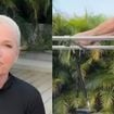 Juan Antonio Martín, personal trainer: 'As mulheres que começam a treinar aos 50 anos e escolhem o Pilates veem mudanças mais cedo do que imaginam, a começar por uma melhor movimentação'