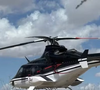 De acordo com o g1, o helicóptero que transportava Rick, Bruno Avelar, Paulo Soares, o piloto Antônio e o copiloto Leopoldo era um Bell 430, fabricado em 2001